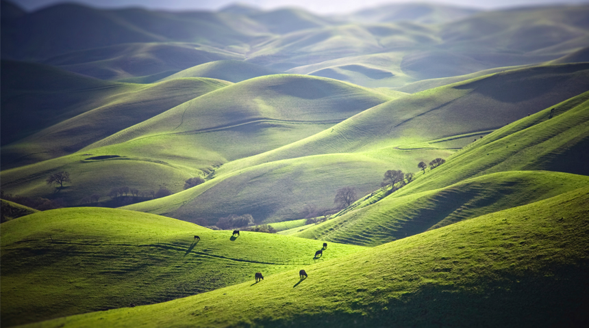 Rolling green hills of Livermore